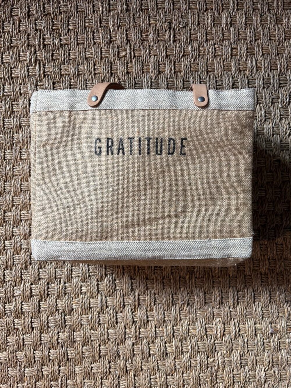 NWT Apolis Petite Market Bag in Natural